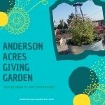 Anderson Acres Giving Garden Article